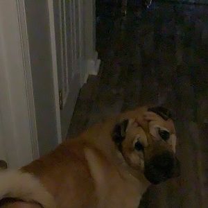 Meet your Posher, Vickie